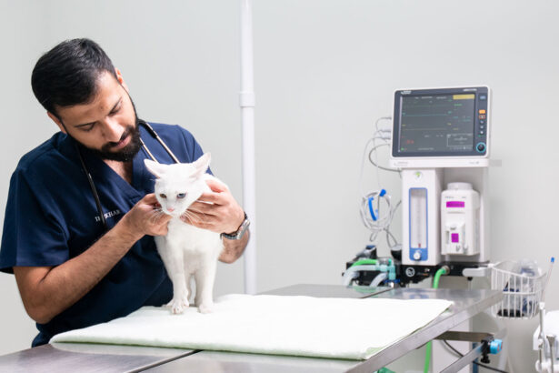 exotic pet vet near me