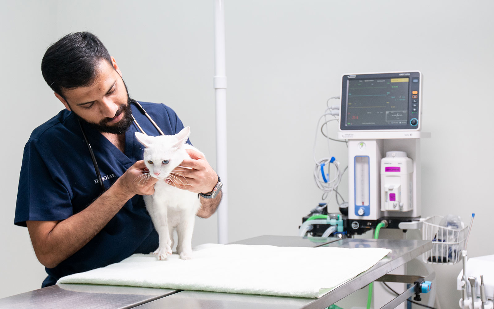 exotic pet vet near me