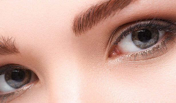 Eye on Annapolis