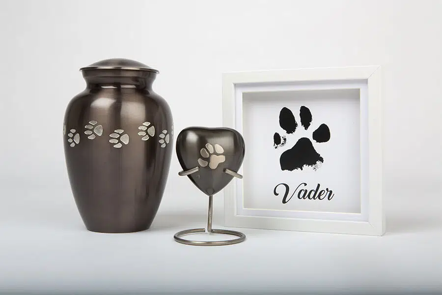 pet cremation cost