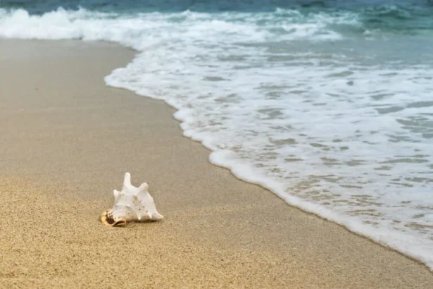 Beach Puns