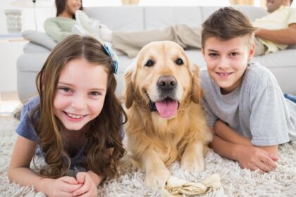 pet smell tucson