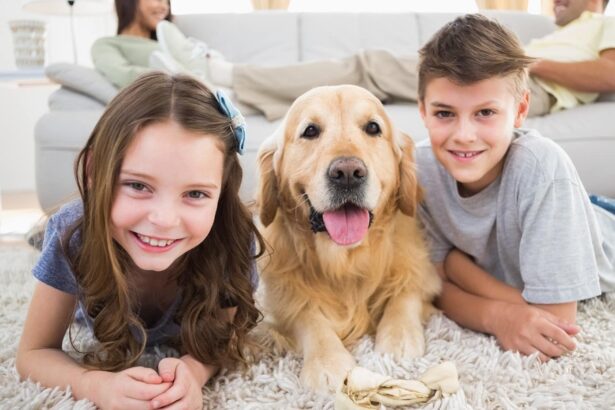 pet smell tucson
